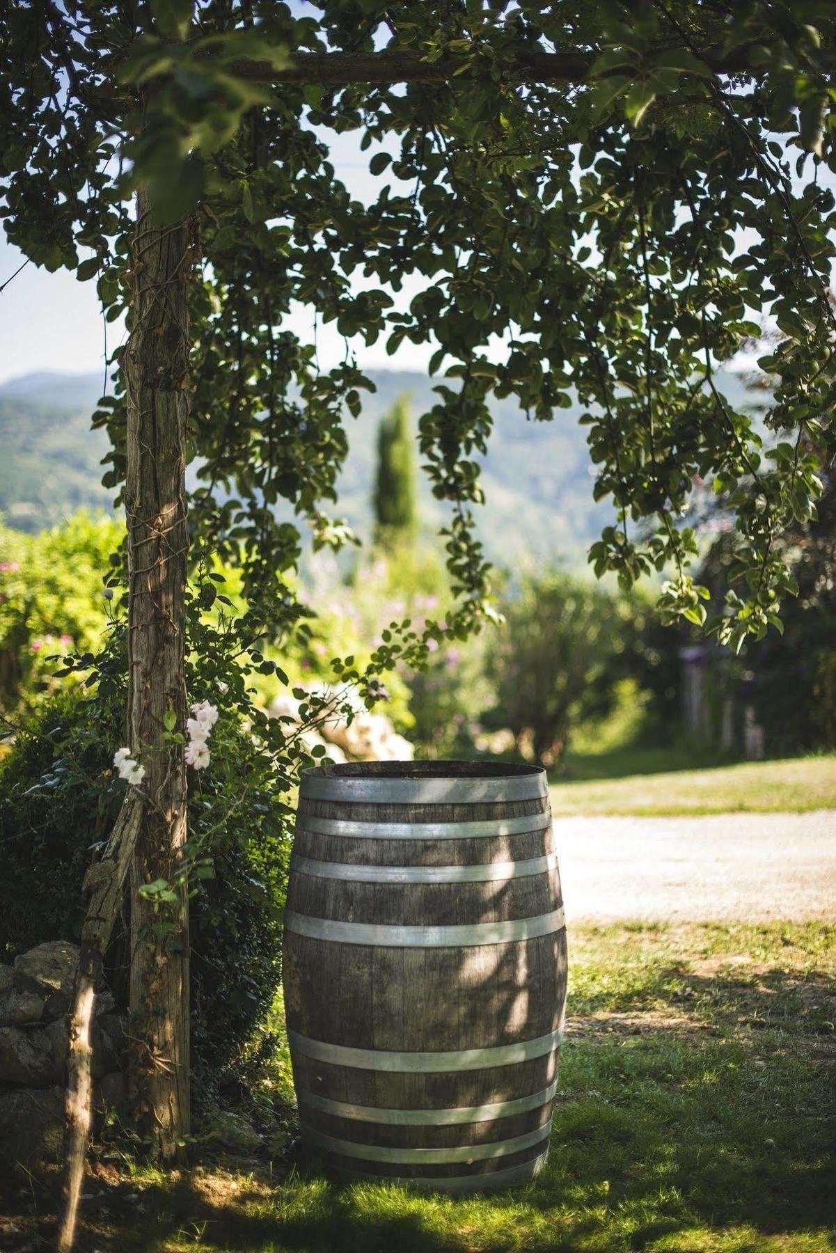 Domaine De Terrac Bed & Breakfast Rimont Exterior foto